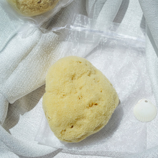 Deep Sea natural silk sponge 深海天然絲綢海綿